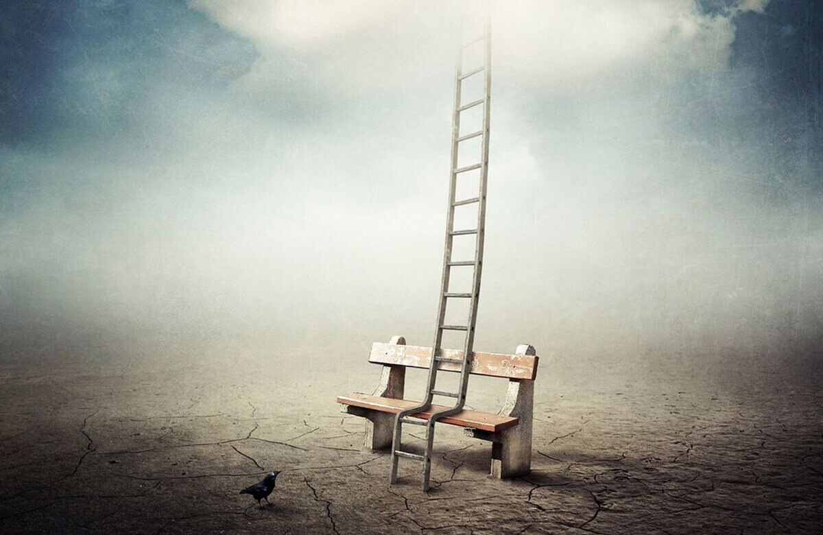 Ladder