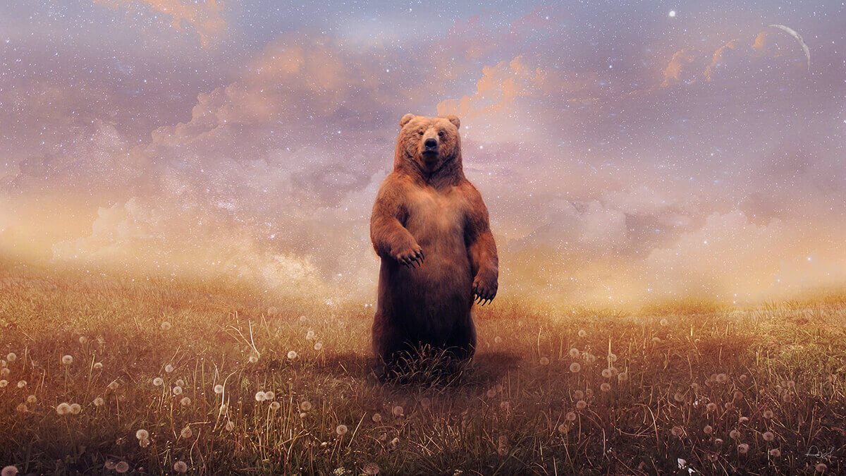 Bear
